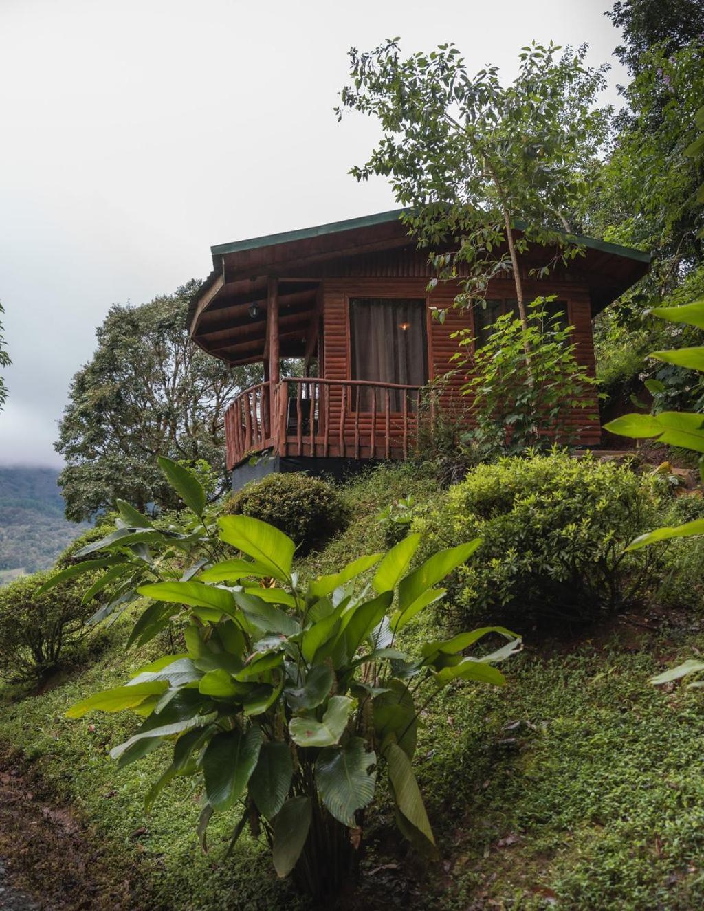 Cedrela Eco-Lodge & Restaurante Copey Экстерьер фото