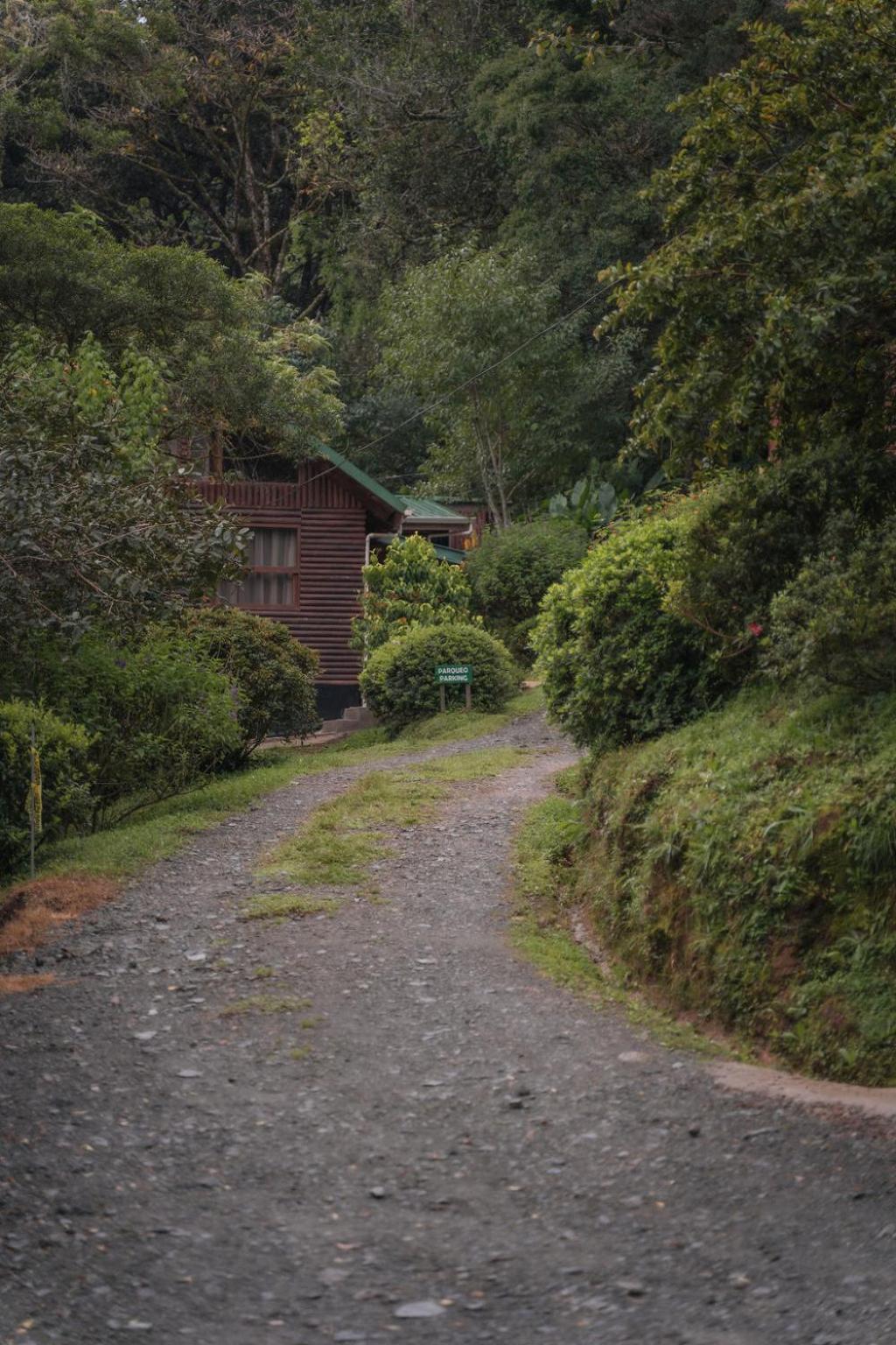 Cedrela Eco-Lodge & Restaurante Copey Экстерьер фото